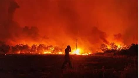 حريق الغابات يتسبب في 6 وفيات بالجزائر