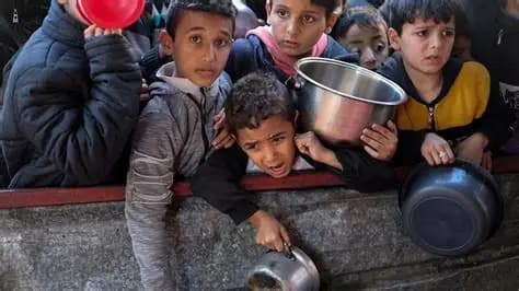 Gaza Food Crisis Affects Majority
