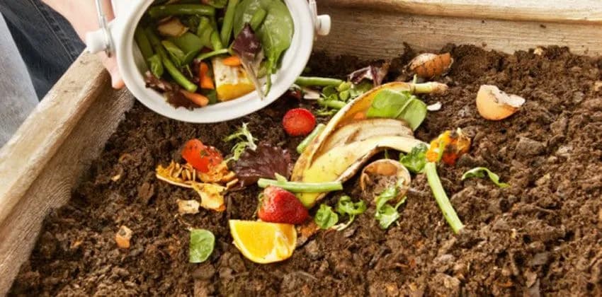 إعادة تدوير مخلفات الزراعة لتعزيز الاقتصاد الأخضر