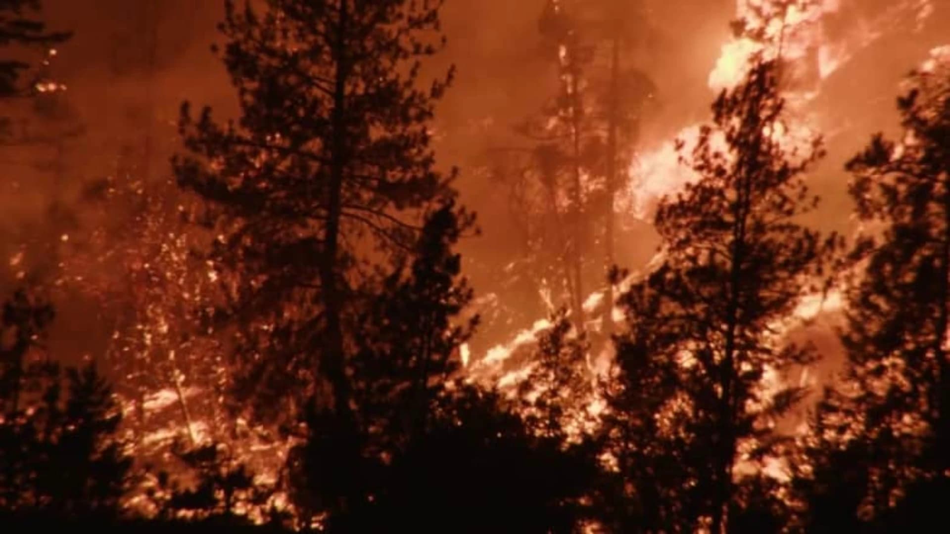 Western Canada Wildfires Destroy 230 Homes