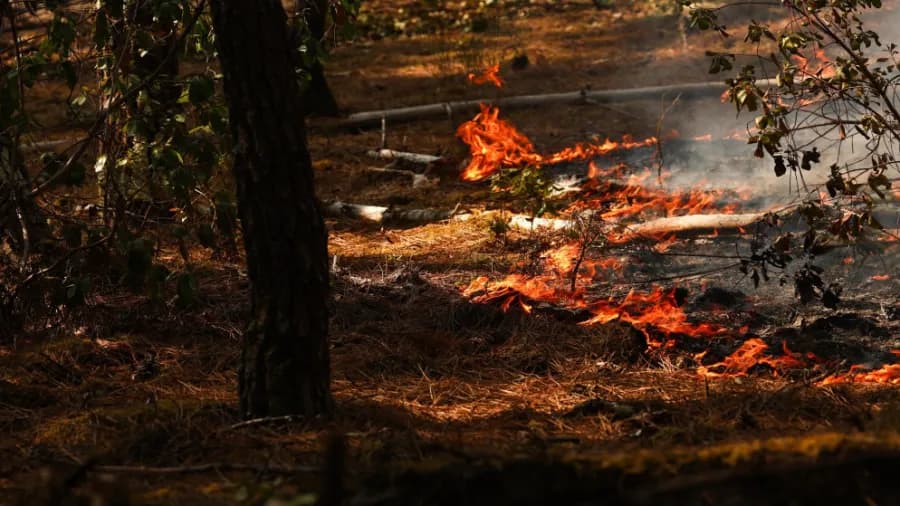 North France camps evacuated over wildfires