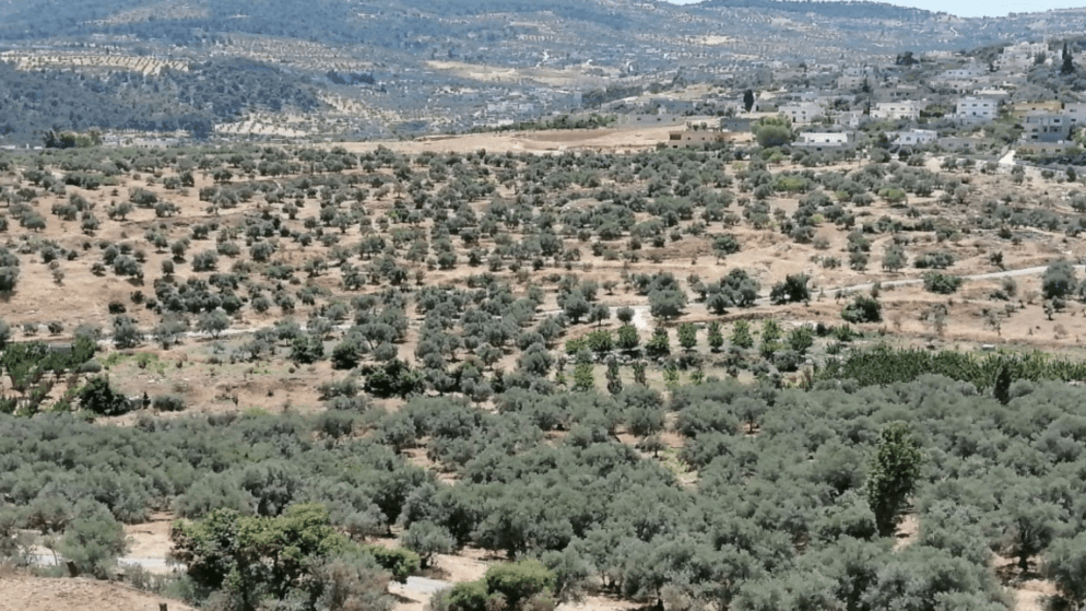 Jerash tackles desert locust threat