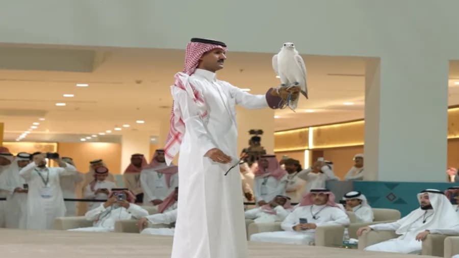 2026 Saudi falcon sells for 1.3M Riyals