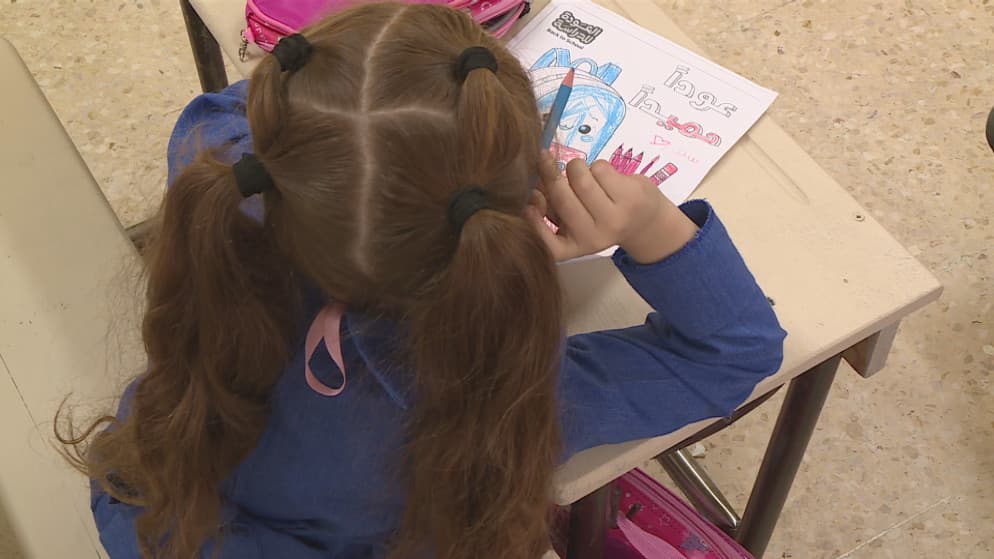 Education Law Aims at Non-Integrating Schools