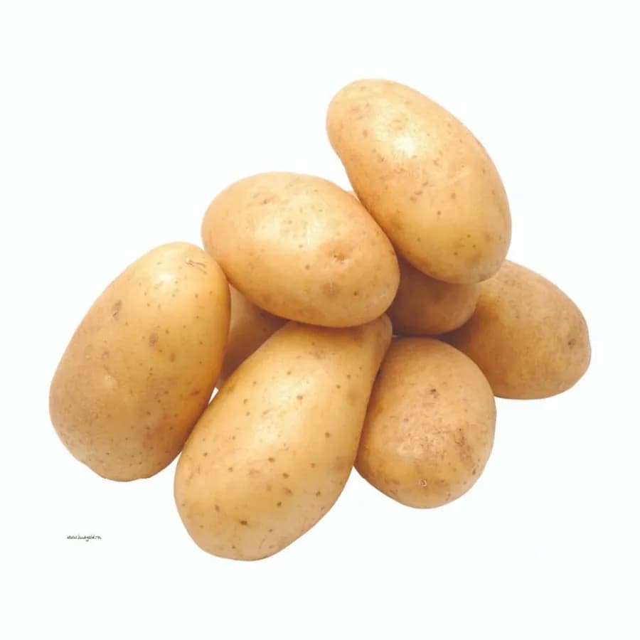 Al-Daman Reports Potato Losses Near One Million Dinars
