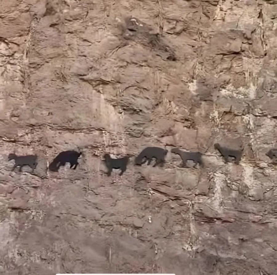 Unveiling the Origin of Jabal Al-Nasr Petroglyphs
