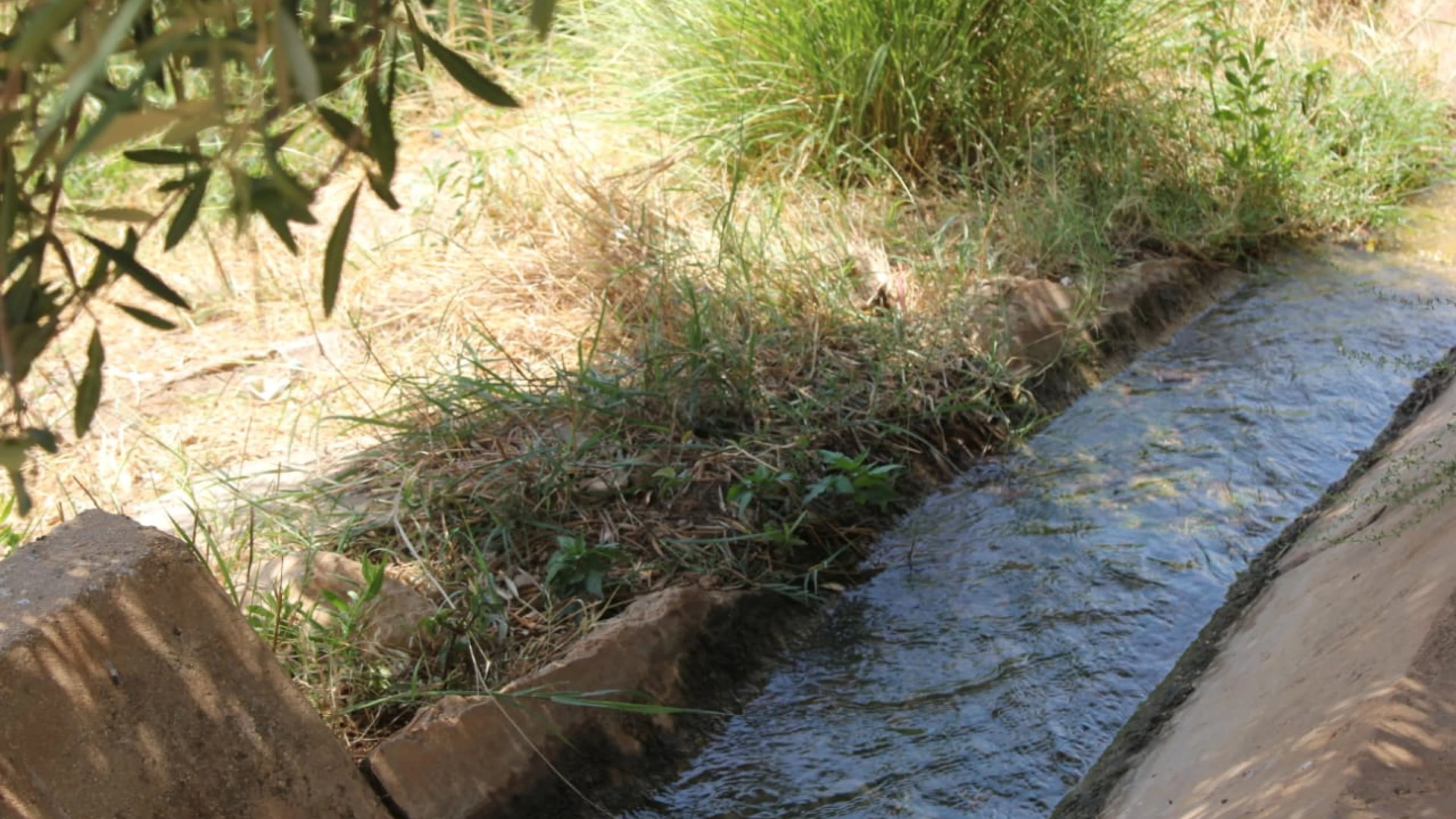 Ajloun farmers adopt modern irrigation