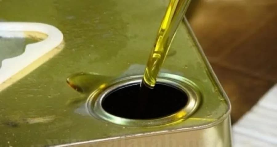 النجداوي يتوقع موسم زيتون جيد واستقرار سعر التنكة