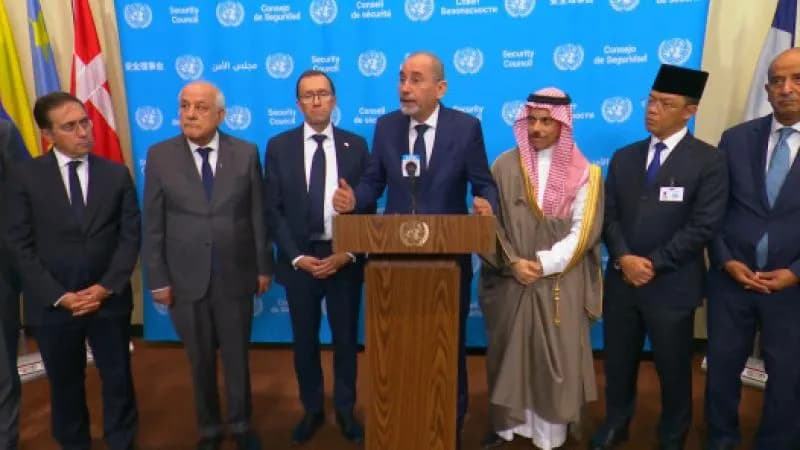 وزارة الخارجية ترفض حل القضية الفلسطينية عبر الأردن