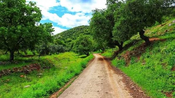 Ajloun tourism routes diversify offerings