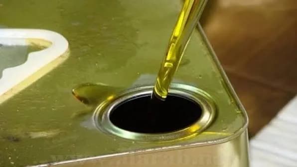 Al-Najdaoui Plans 30,000 Tons of Olives Price Hits 110 Dinars
