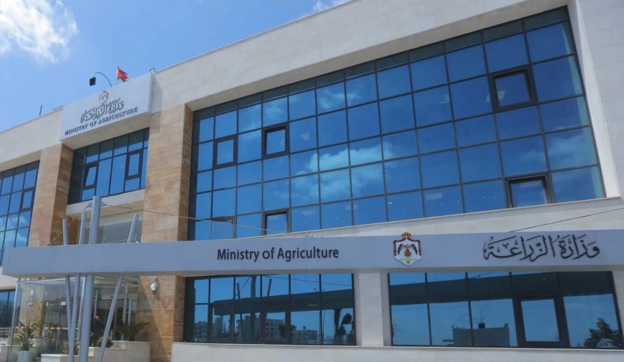 الزراعة تمدد تسجيل مهرجان الزيتون