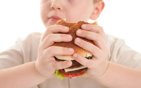Jordan students see rising obesity rates