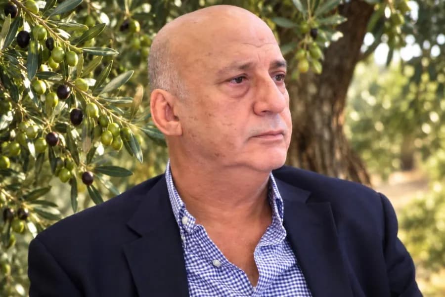 Olive Oil Union Urges Harvest Delay