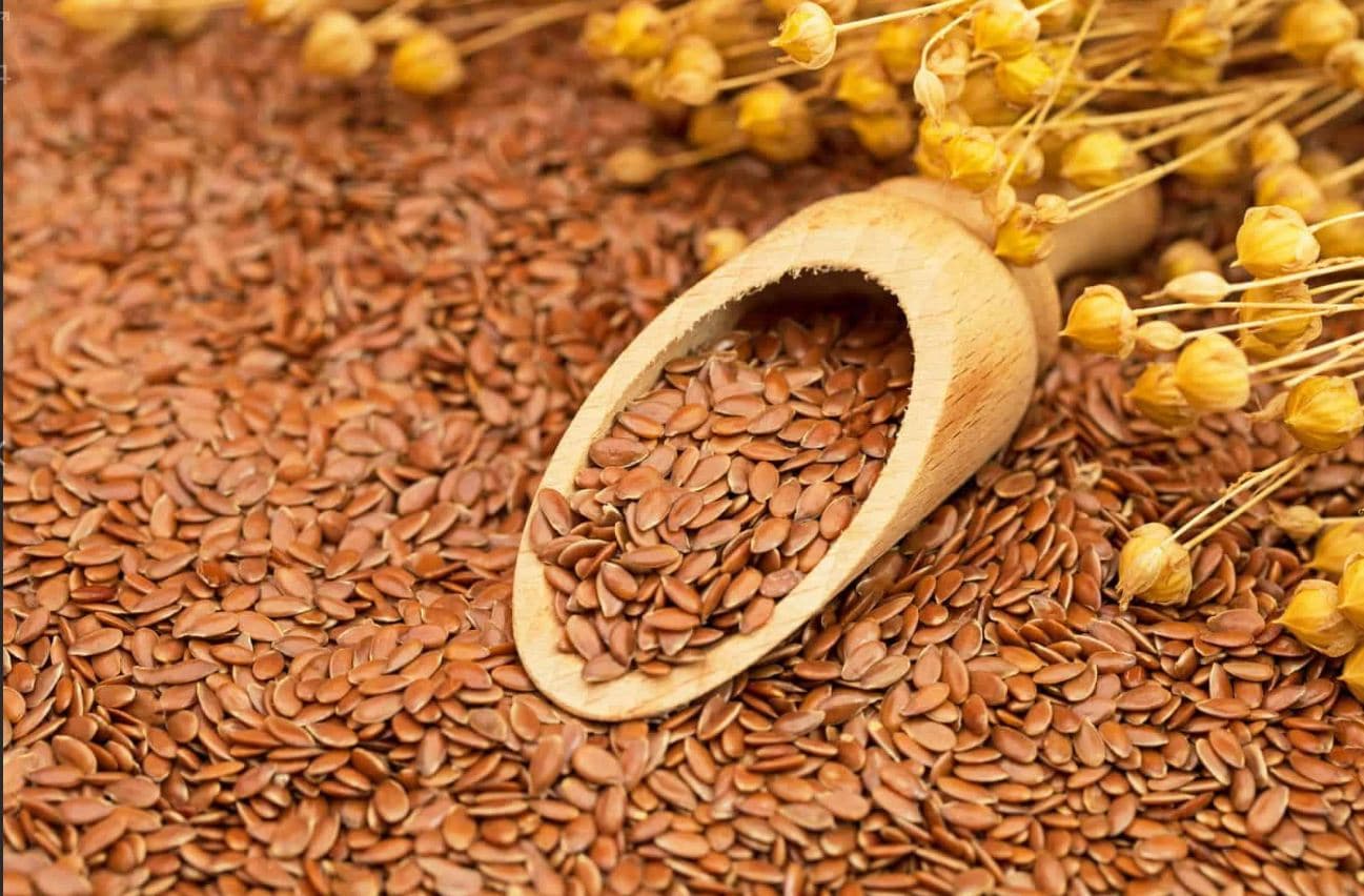 Egypt unveils plan to boost flax industry