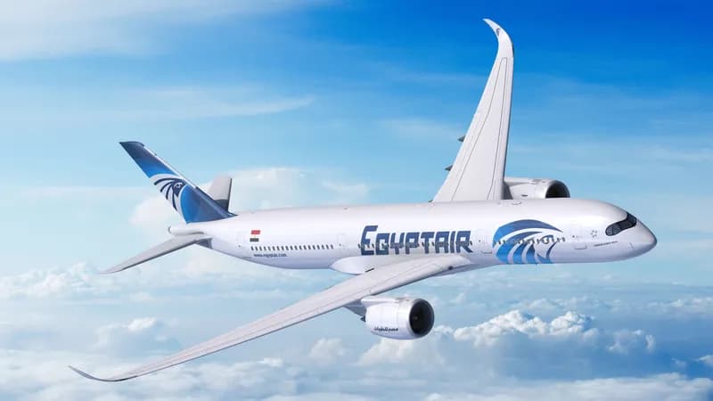 EgyptAir halts flights to Riyadh