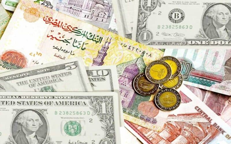 Highest dollar rate today in government banks