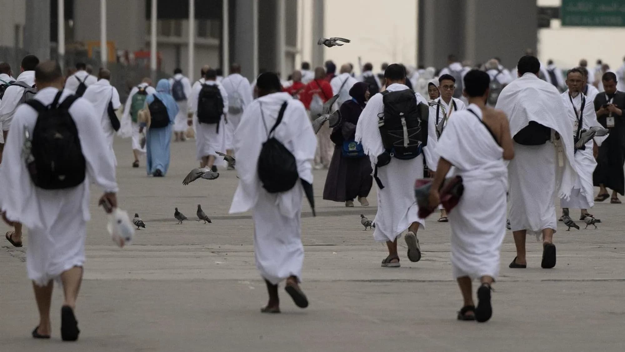 Al-Tadamun Opens 2027 Hajj Applications
