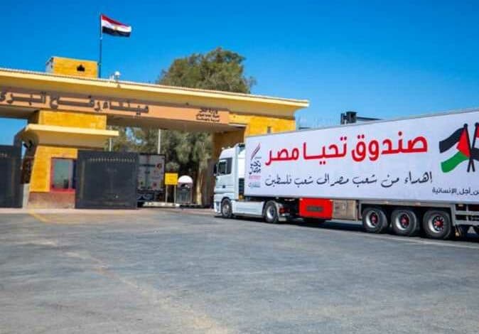 Egyptian Committee Works to Rebuild Gaza