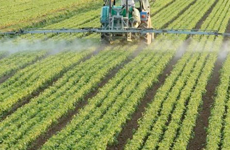 Treated water's role in Egypt's farm expansion