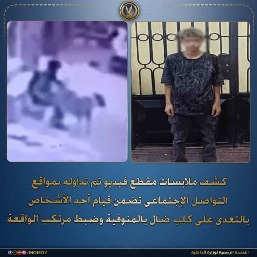 Menoufia Interior Reports Dog Assault