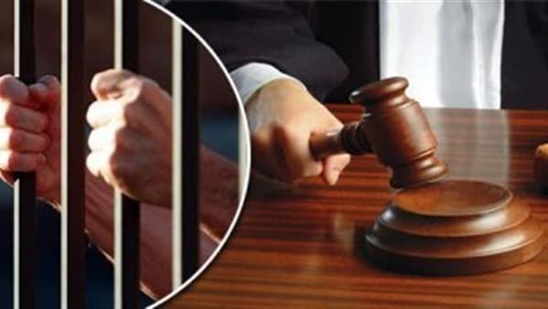 Nasr City cell trial postponed to September 12