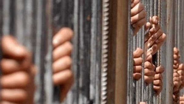 شوارع البحيرة تتجه للاستعراض وضبط 3 سائقين