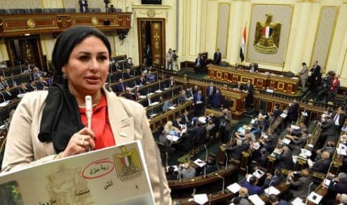 Egyptian MP suggests renaming "housewife" to "Mother of a Generation"