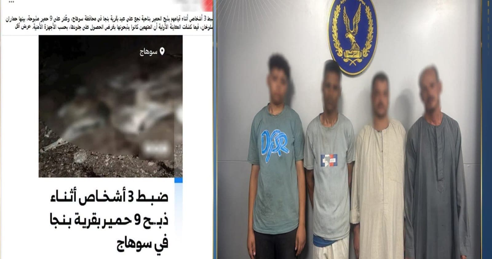 Sohag gang involved in donkey slaughter
