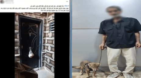 ضبط عامل بجيزة بعد اعتدائه على كلب