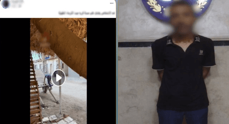 ضبط عامل بتهمة الاعتداء على مسنة بالدقهلية بسبب قرض