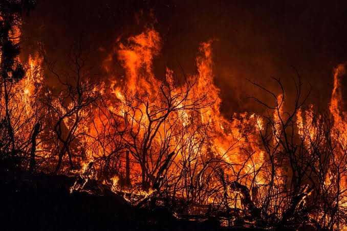 Algeria extinguishes 110 fires amid 64 ongoing