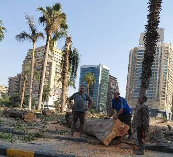 PM directs governors on trees and services