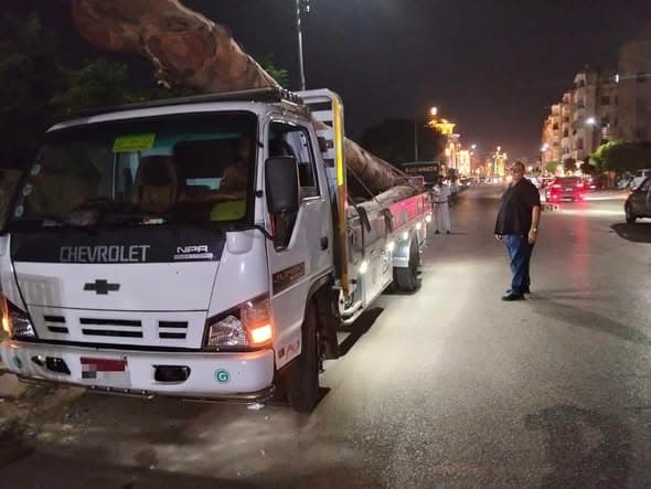 Seized aged camphor logs in Mansoura