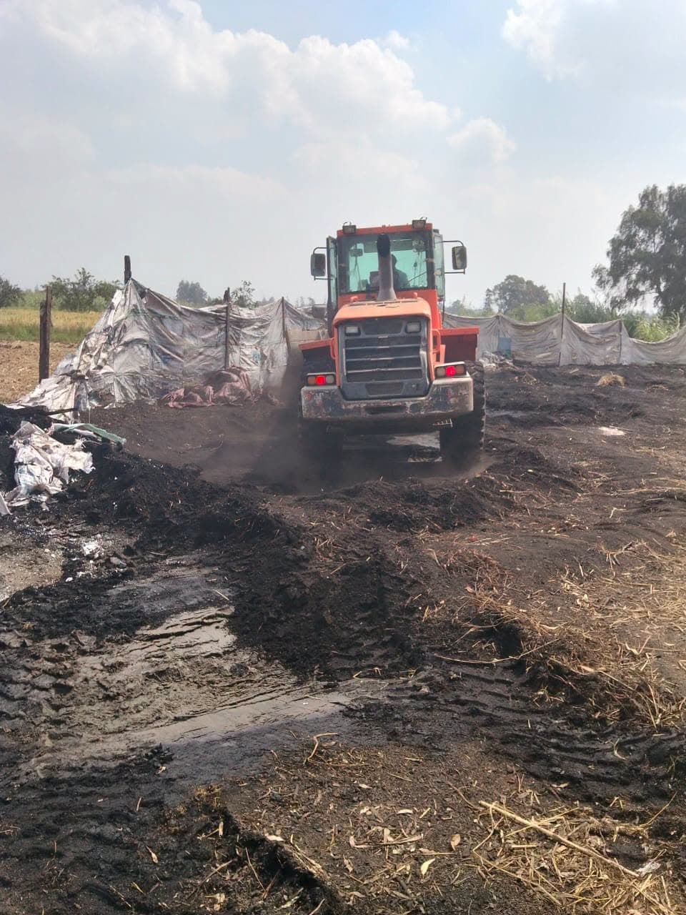 40 illegal kiln removals in Sidi Salem