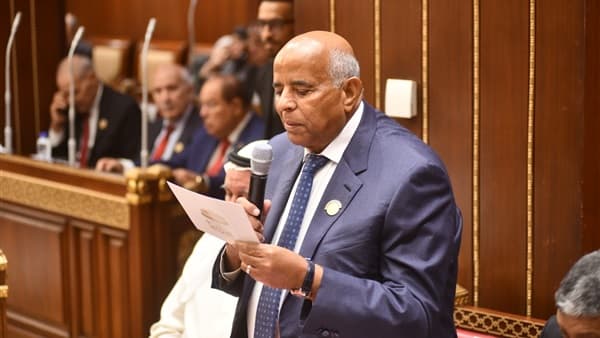 برلماني: بيان مصر والصين يعزز التعاون الاقتصادي