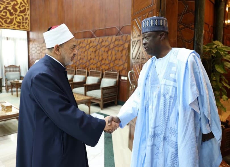 Al-Azhar Sheikh on Africa's Support Role