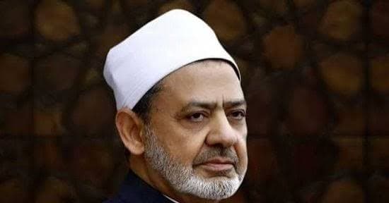 Hijazi highlights Azhar's mediation call