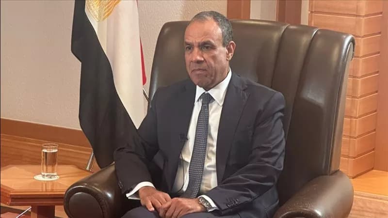 Egypt's reform vision at IMF and World Bank