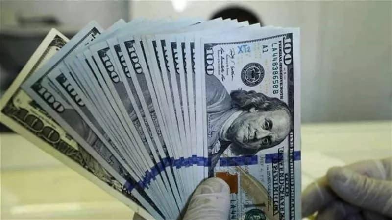 تحديث سعر الدولار في مصر الأحد