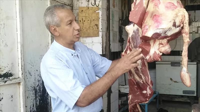 Aswan Supply Dept Issues 66 Violations