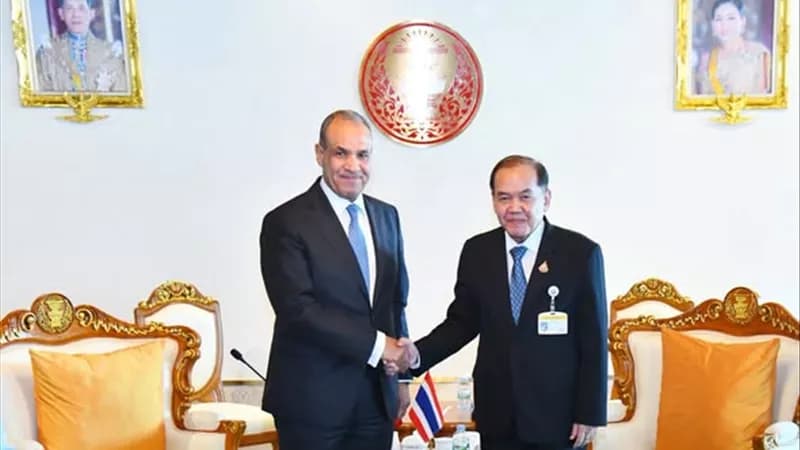 Foreign Minister Meets Thai Senate Committee