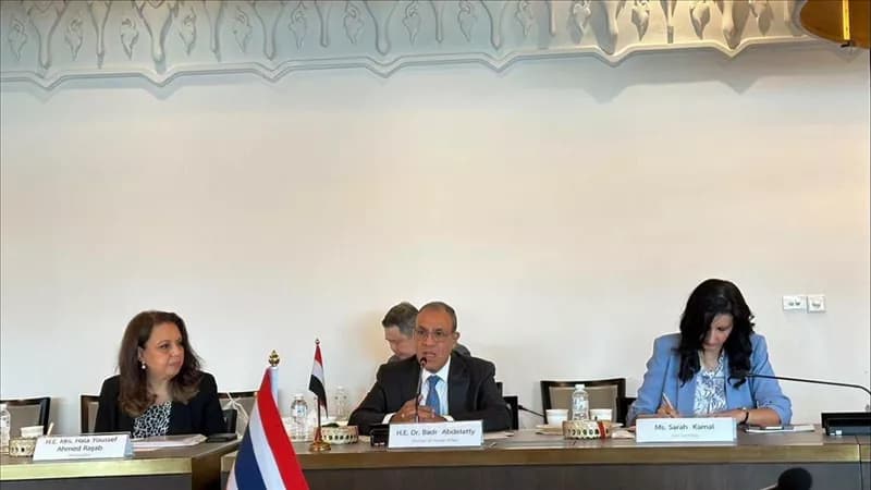 Foreign Minister discusses ties with Thai-Egyptian group