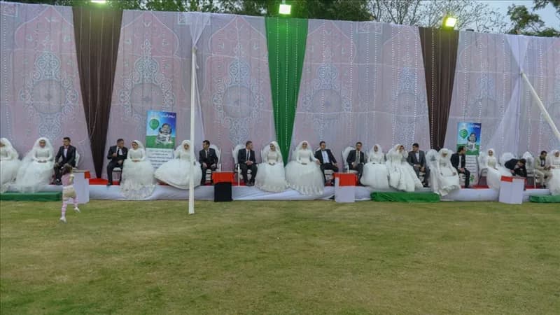 Support for 1253 orphaned brides in Aswan