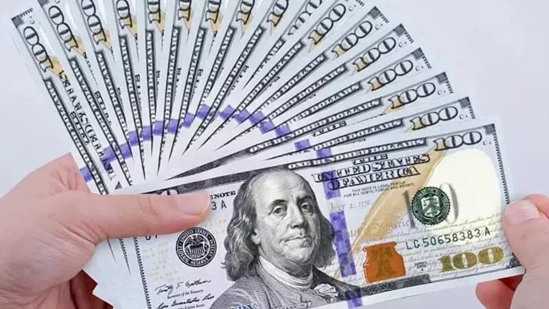 Egypt Dollar Rates October 13