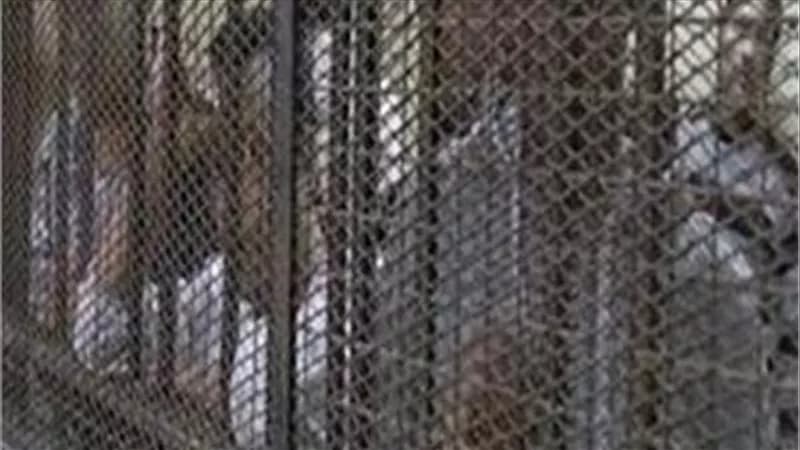 Nasr City ISIS cell trial ongoing