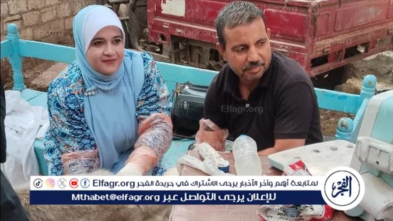 Assiut distributes 127 sheep to Beni Mar families
