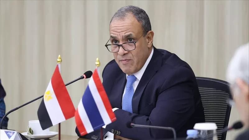 وزير الخارجية يشارك في منتدى مصر-تايلاند لتعزيز التعاون