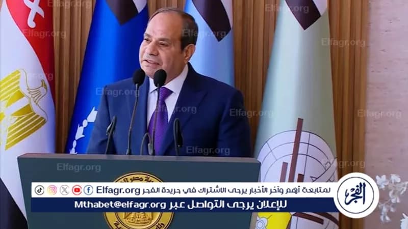 Bakry: Sisi prepares son for elections