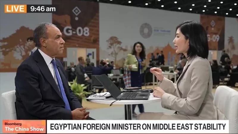 Foreign Minister Discusses Egypt-Asia Ties